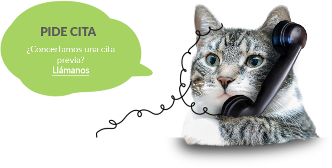 Pide cita